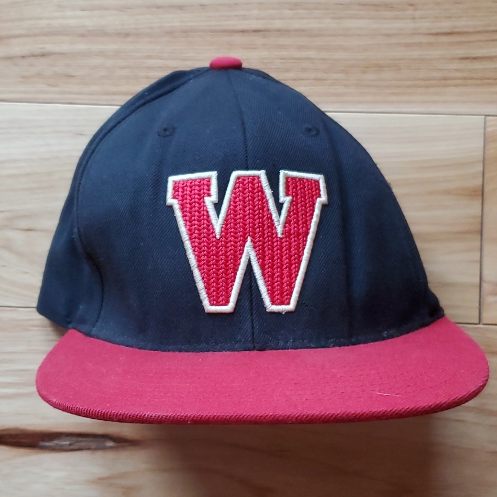 Wisconsin Vintage Snapback
